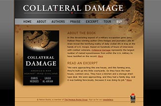 Collateral Damage